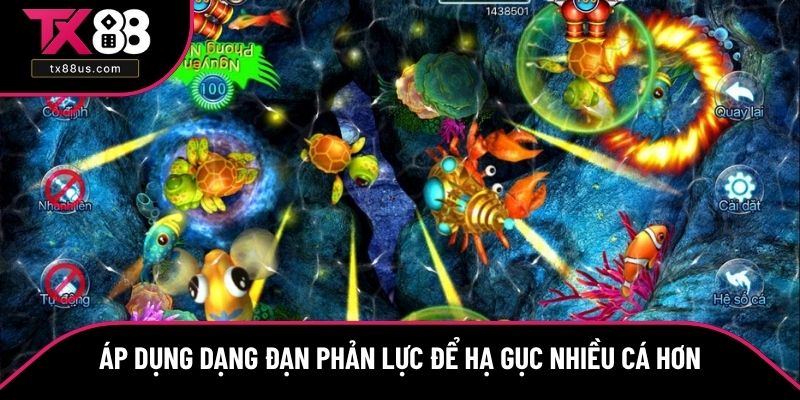Áp dụng dạng đạn phản lực để hạ gục nhiều cá hơn