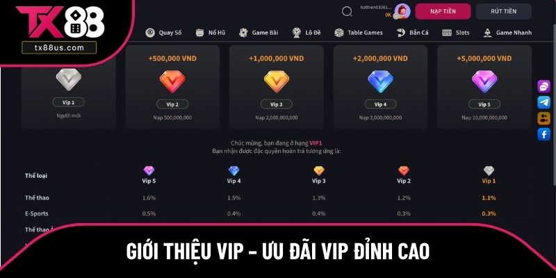 Giới thiệu VIP – Ưu đãi VIP đỉnh cao Giới thiệu VIP – Ưu đãi VIP đỉnh cao
